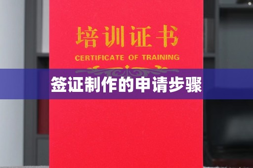 郁南签证制作的申请步骤