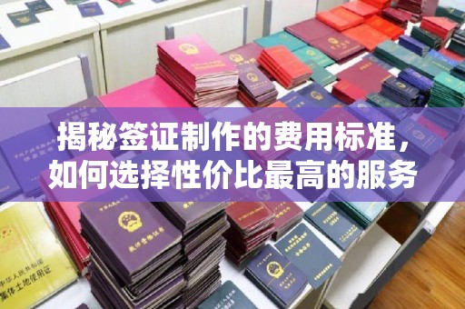 郁南揭秘签证制作的费用标准，如何选择性价比最高的服务？