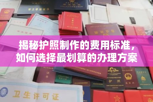 郁南揭秘护照制作的费用标准，如何选择最划算的办理方案？