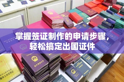 郁南掌握签证制作的申请步骤，轻松搞定出国证件