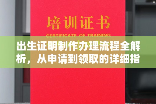 郁南出生证明制作办理流程全解析，从申请到领取的详细指南