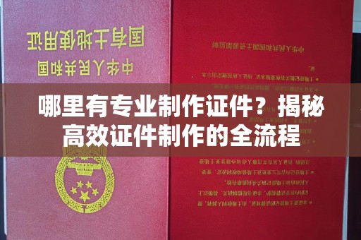 郁南哪里有专业制作证件？揭秘高效证件制作的全流程