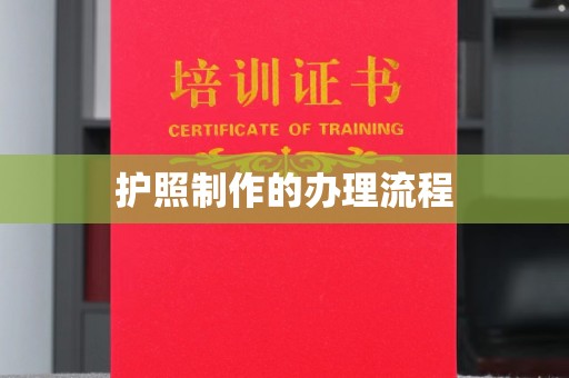 郁南护照制作的办理流程
